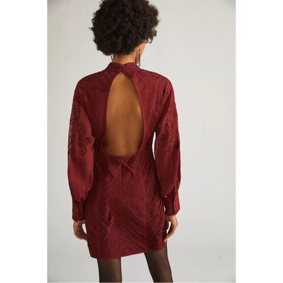 NWOT Anthropologie Wine Dress with Long Bishop Sleeves - Picture 2 of 14